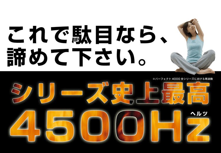 干渉波EMSのパーフェクト4500HOTの特徴