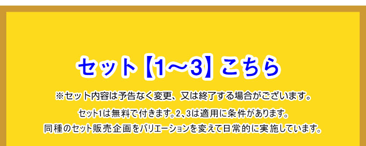 パーフェクト4500HOTのセット内容